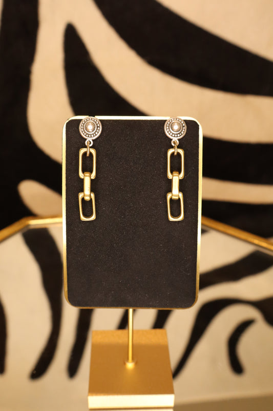 Two-Toned Chain Link Earrings