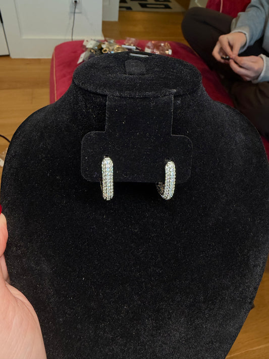 Silver Diamond Hoops